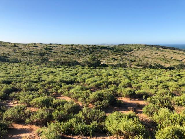 Land for sale in Princess Grant, Kwazulu-natal