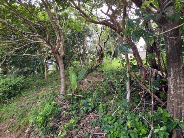 Land for sale in Ugu District Municipality, Kwazulu-natal