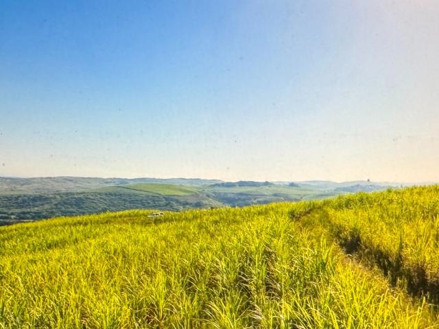 Land for sale in Mt Edgecombe, Kwazulu-natal