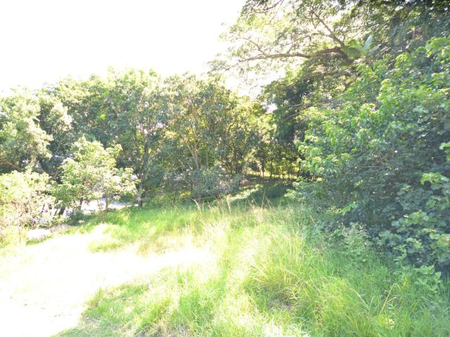Land for sale in Princess Grant, Kwazulu-natal