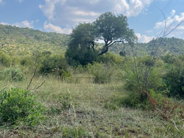 Land for sale in Siyabuswa, Mpumalanga