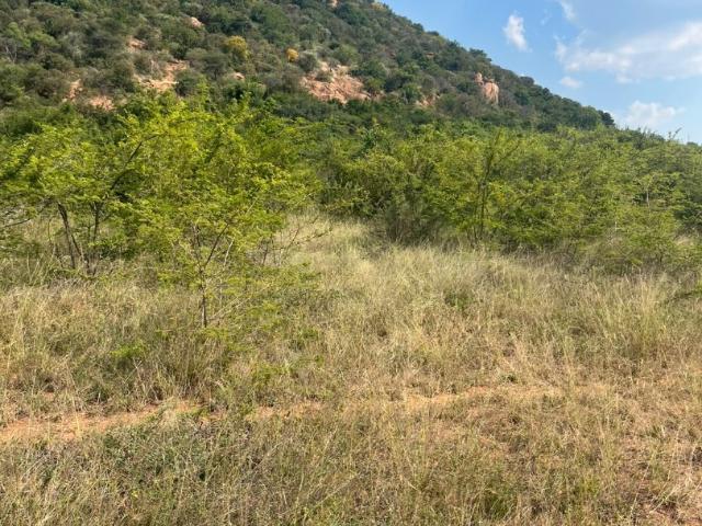 Land for sale in Siyabuswa, Mpumalanga
