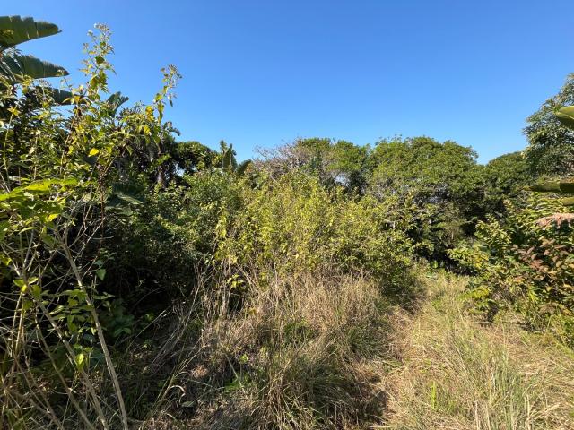 Land for sale in Ugu District Municipality, Kwazulu-natal