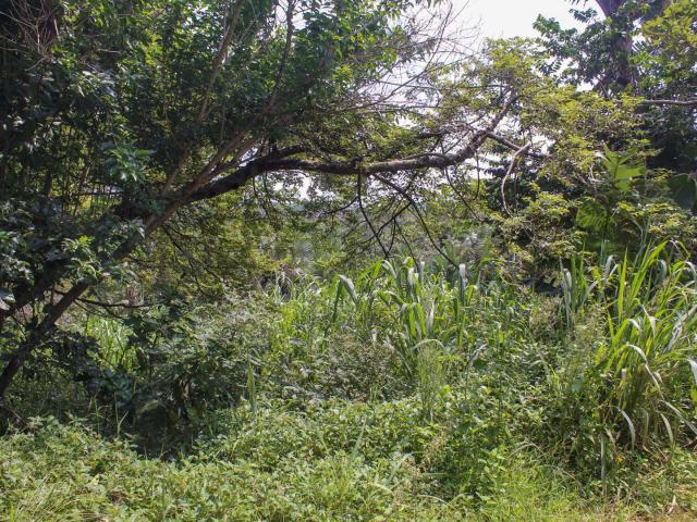 Land for sale in Ugu District Municipality, Kwazulu-natal