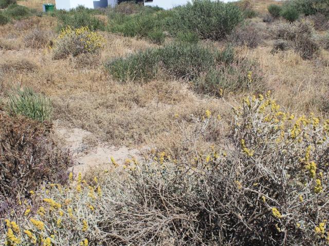 Land for sale in West Coast, Britannia Bay