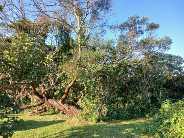 Land for sale in Sunrise-on-sea, Eastern Cape