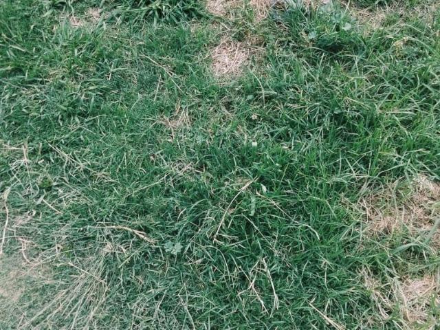 Land for sale in Gert Sibande, Mpumalanga