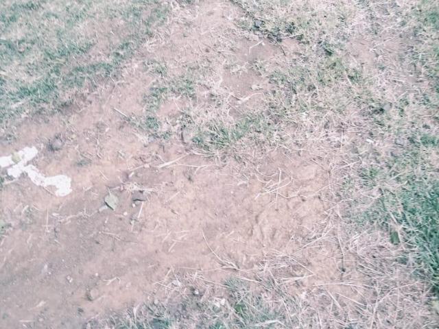 Land for sale in Secunda, Govan Mbeki