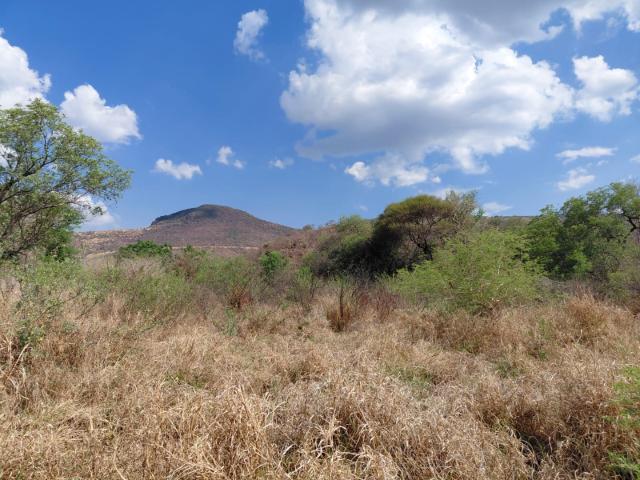 Land for sale in Thabazimbi, Limpopo