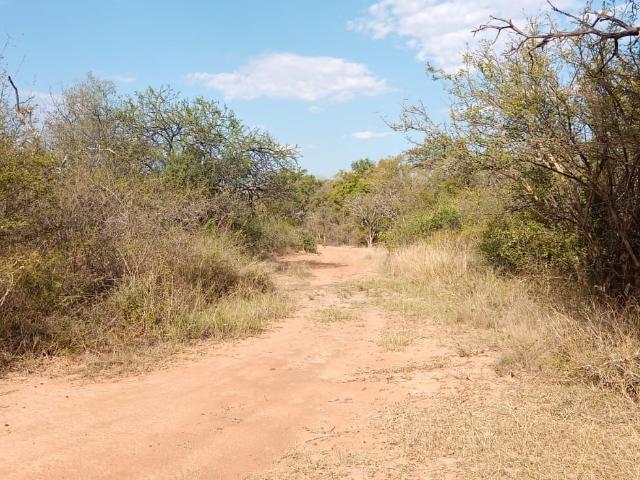 Land for sale in Limpopo