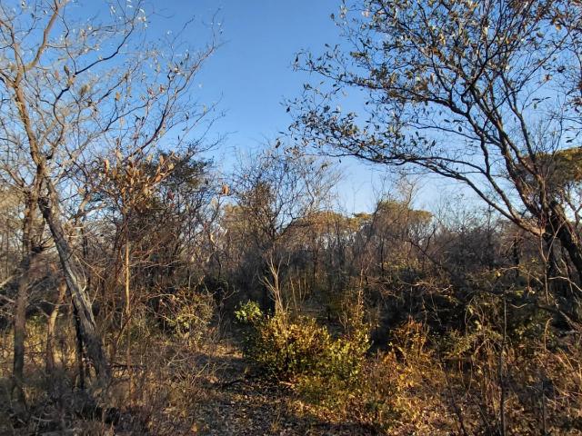 Land for sale in Limpopo