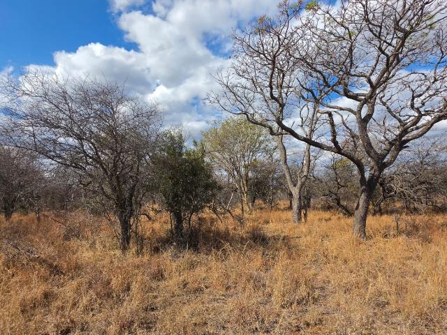 Land for sale in Limpopo