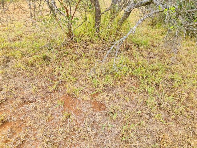 Land for sale in Seshego, Limpopo