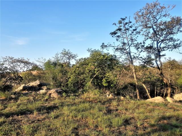 Land for sale in Ehlanzeni, Mpumalanga
