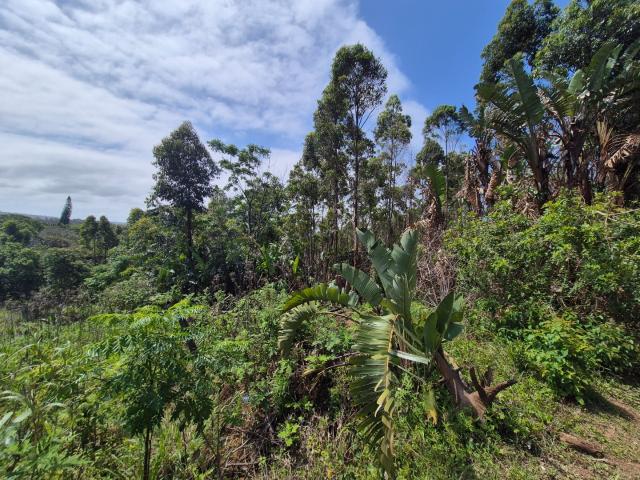 Land for sale in Ugu District Municipality, Kwazulu-natal