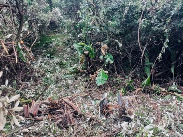 Land for sale in Princess Grant, Kwazulu-natal