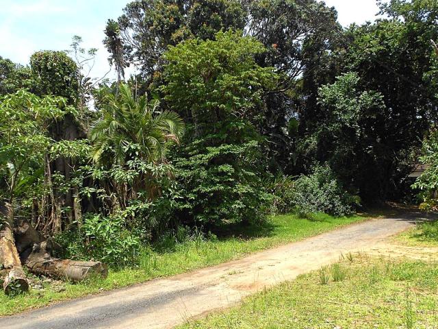 Land for sale in Trafalgar, Hibiscus Coast Local Municipality