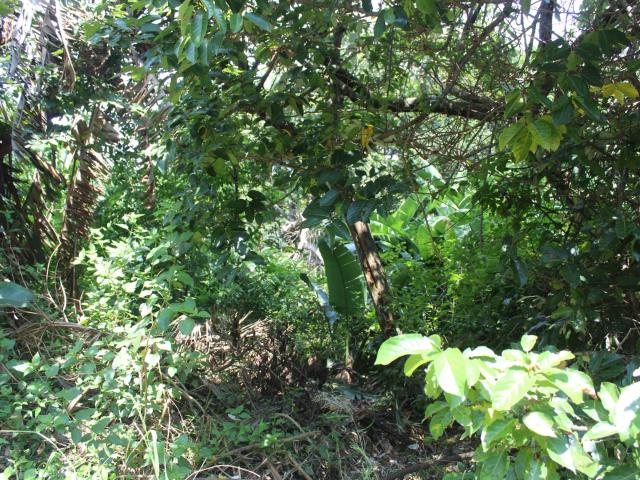 Land for sale in Ugu District Municipality, Kwazulu-natal