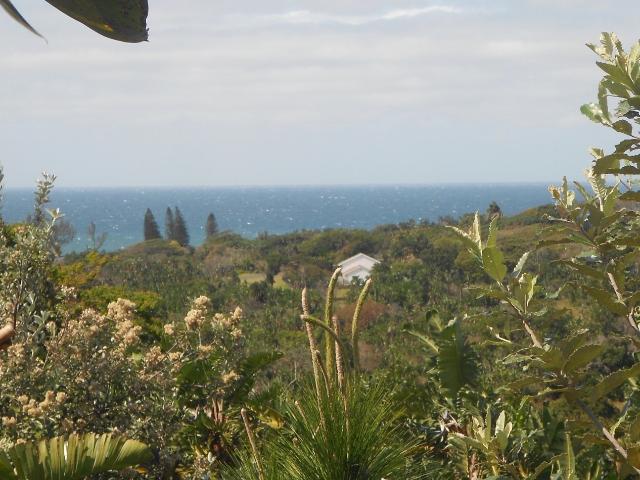 Land for sale in Ugu District Municipality, Kwazulu-natal