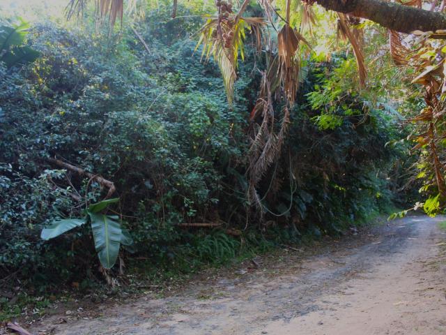 Land for sale in Ugu District Municipality, Kwazulu-natal