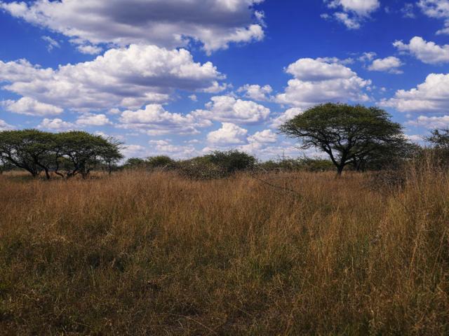 Land for sale in Seshego, Limpopo