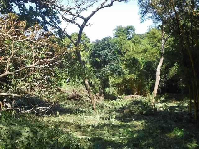 Land for sale in Ugu District Municipality, Kwazulu-natal