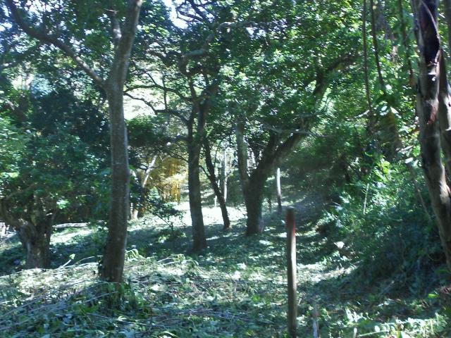Land for sale in Ugu District Municipality, Kwazulu-natal