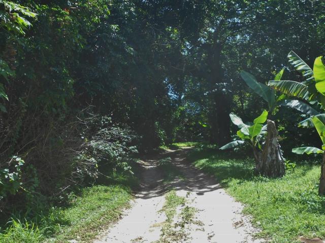 Land for sale in Ugu District Municipality, Kwazulu-natal