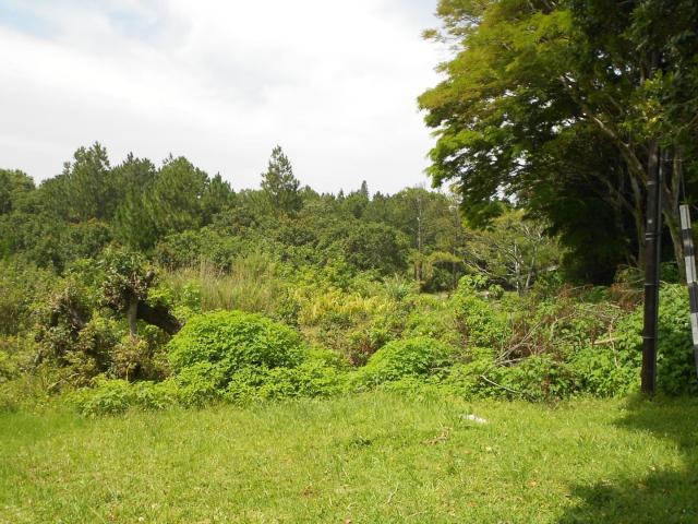 Land for sale in Ugu District Municipality, Kwazulu-natal