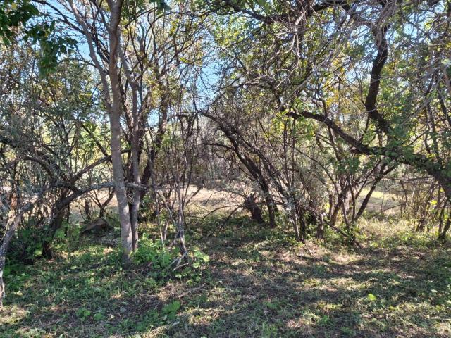 Land for sale in Dr Kenneth Kaunda, North West
