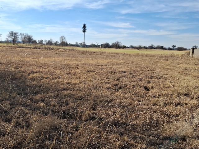 Land for sale in Koppies, Free State
