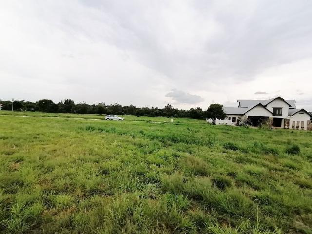 Land for sale in Koppies, Free State