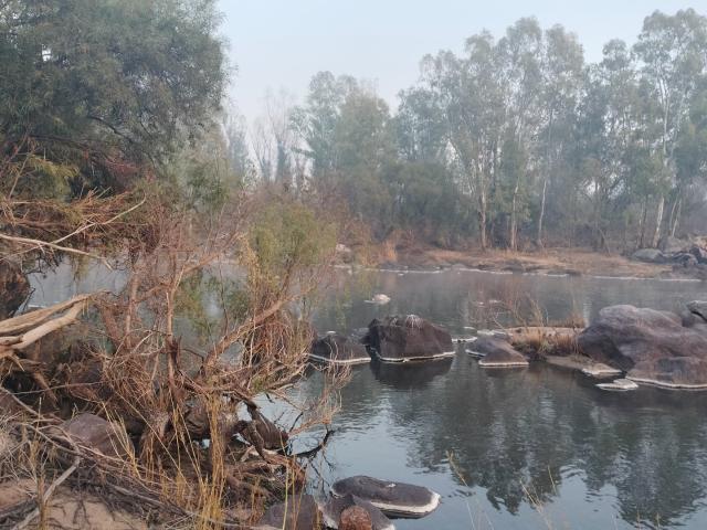 Land for sale in Koppies, Free State
