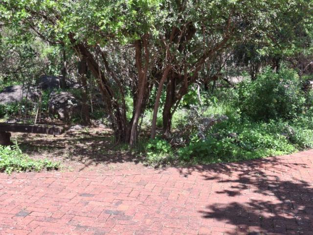 Land for sale in Koppies, Free State
