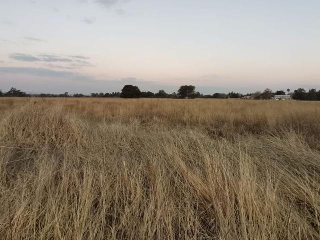 Land for sale in Oranjeville, Free State