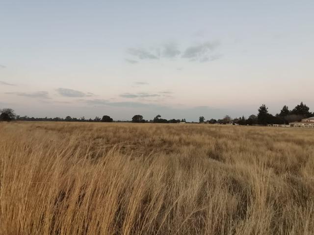 Land for sale in Oranjeville, Free State
