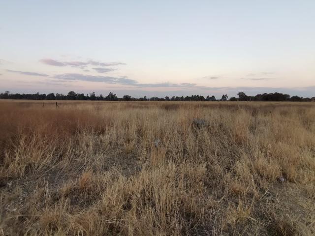 Land for sale in Oranjeville, Free State