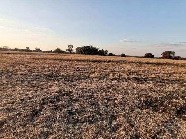 Land for sale in Oranjeville, Free State