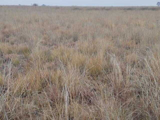 Land for sale in Oranjeville, Free State