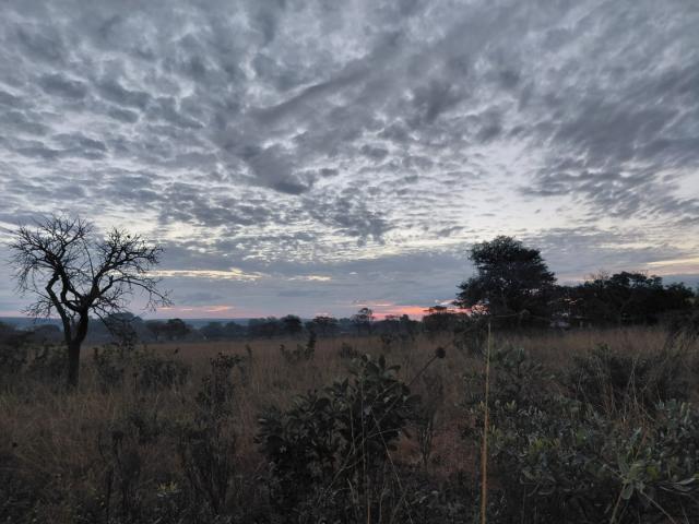 Land for sale in Nylstroom, Limpopo