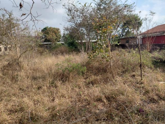 Land for sale in Nylstroom, Limpopo