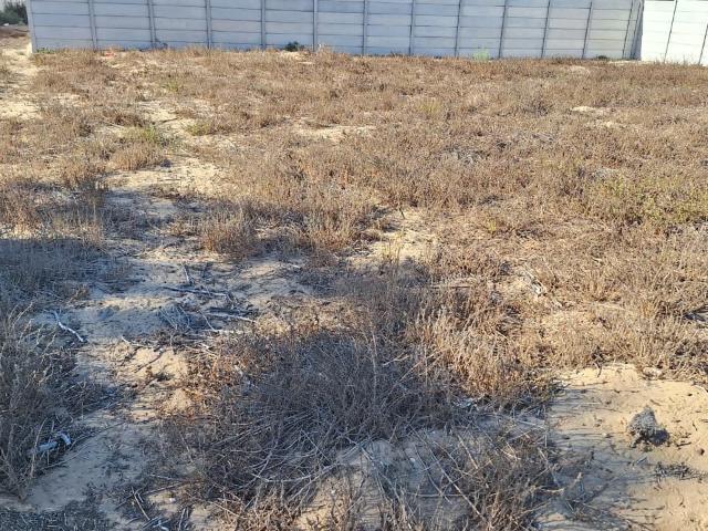 Land for sale in West Coast, Velddrift