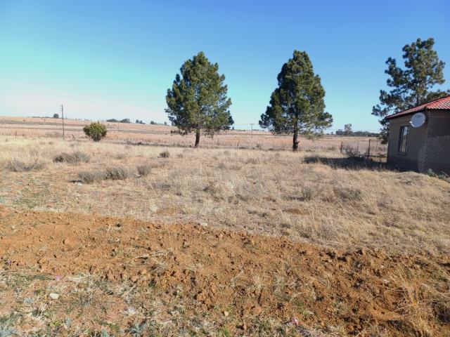 Land for sale in Koppies, Free State