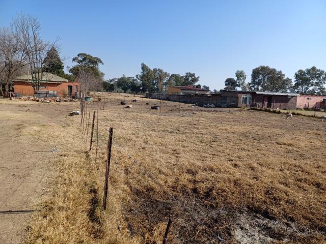 Land for sale in Koppies, Free State
