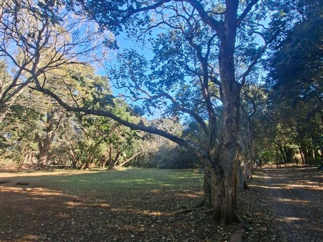 Land for sale in Kwazulu-natal