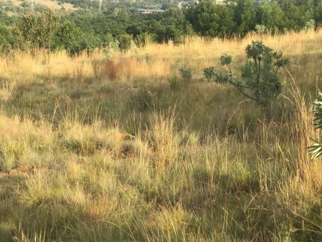 Land for sale in Waterkloof, Gauteng