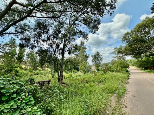 Land for sale in Waterkloof, Gauteng