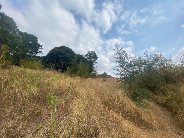 Land for sale in Waterkloof, Gauteng