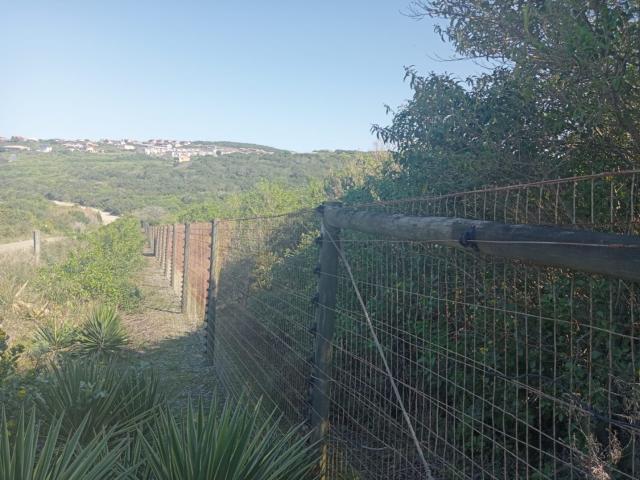 Land for sale in Bushmans River Mouth, Eastern Cape