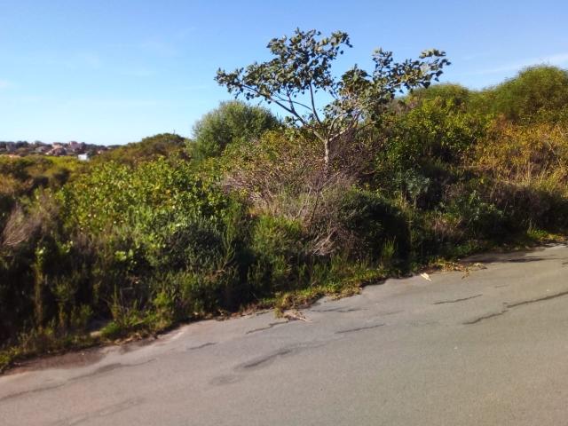 Land for sale in Bushmans River Mouth, Eastern Cape